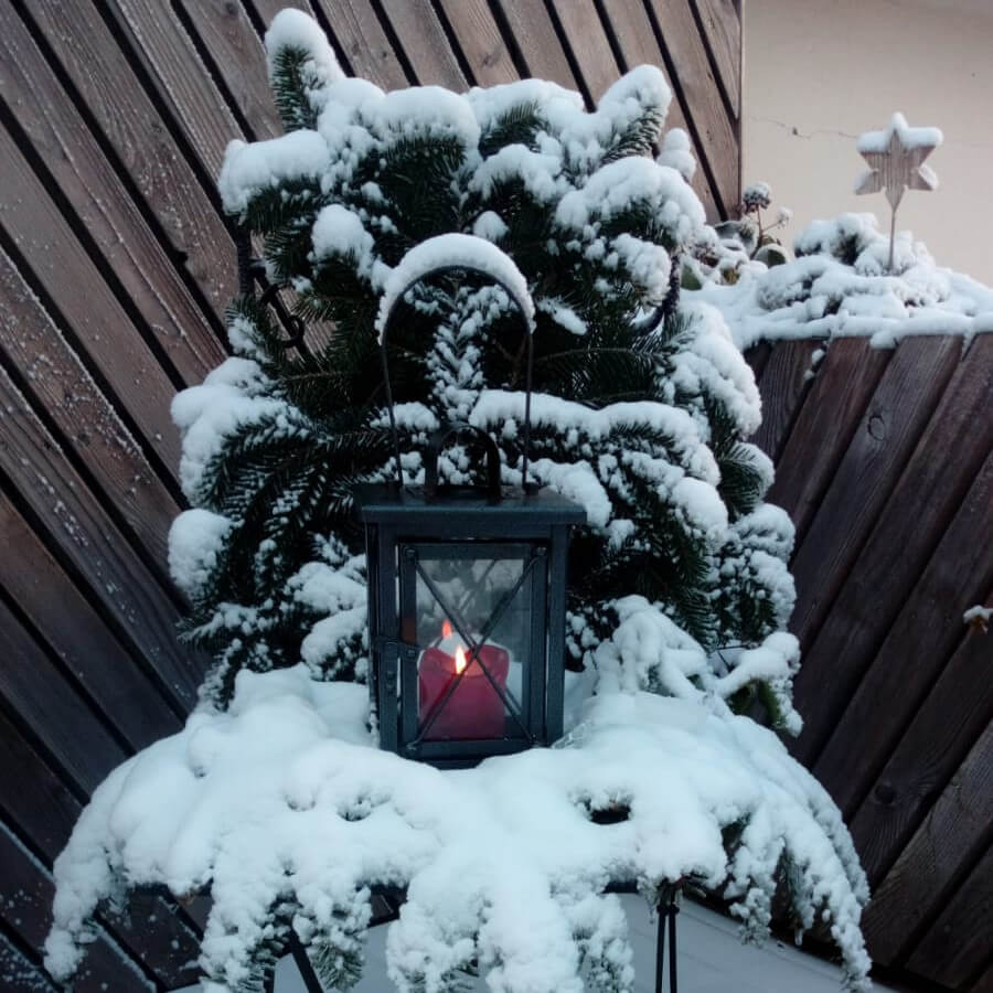 Projekt Foto von verschneiten Tannenzweige